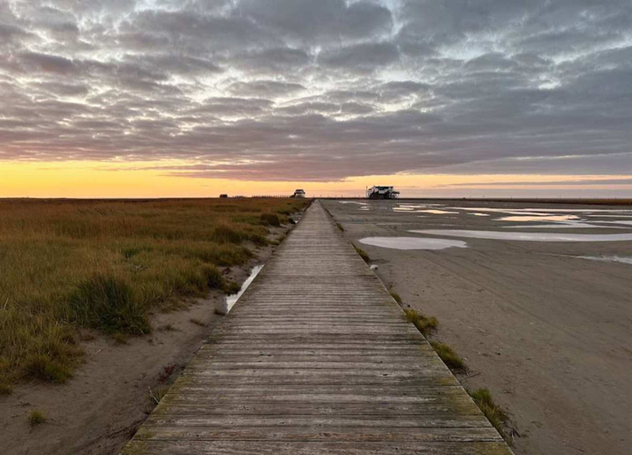 View from property 3, Ferienwohnung in St. Peter-ording, Nordfriesland