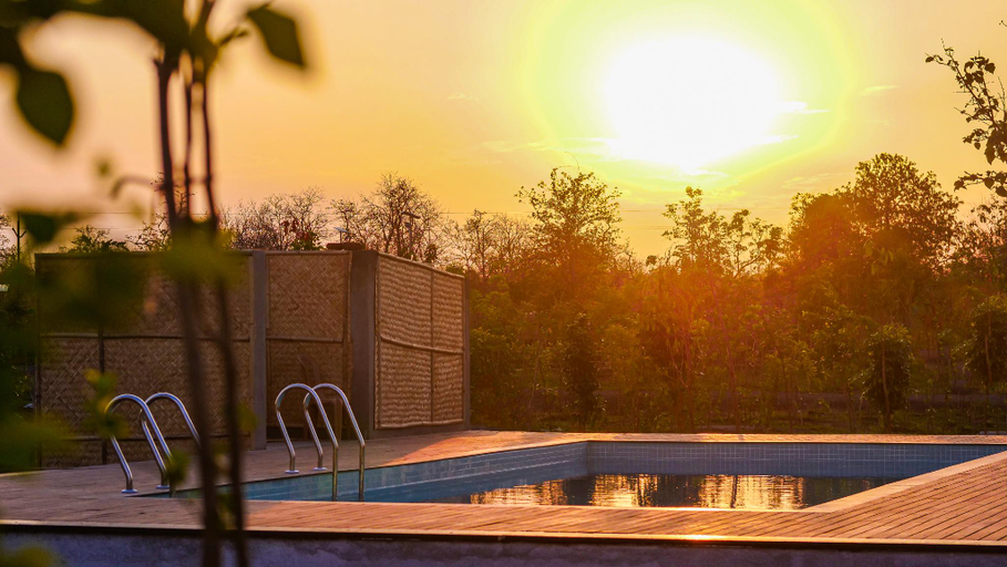 Swimming pool, Untamedpaws, Yavatmal