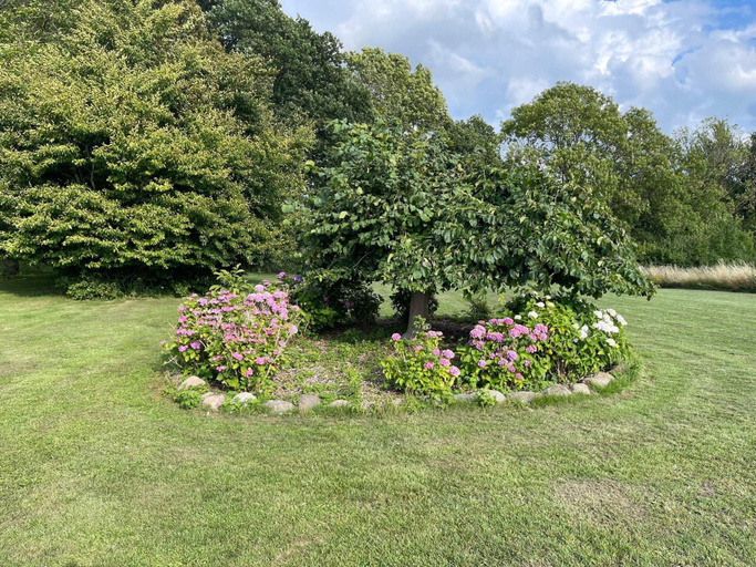 Others 5, 6 Person Holiday Home in Praesto, Vordingborg