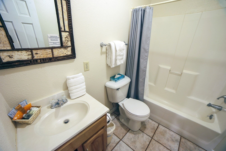 Bathroom, Fawn Valley Inn: 295 1 Bedroom Condo, Larimer