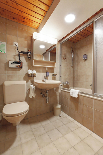 Bathroom 4, Alpenblick, Visp