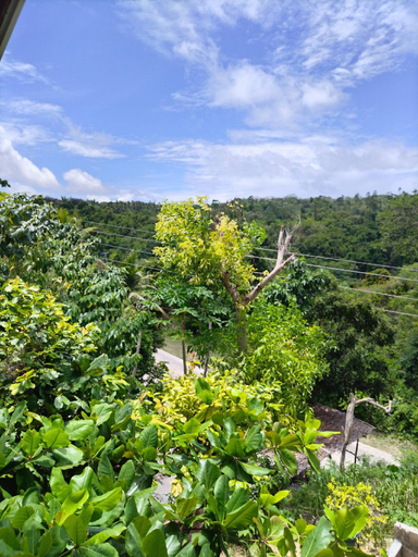 Garden 5, Siquijor Overlooking House 100 meters before Cambugahay Falls, Lazi