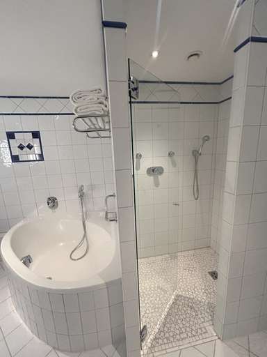 Bathroom 4, Vichy Celestins Spa Hotel, Allier