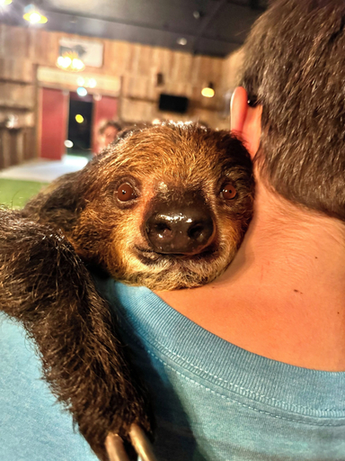 Ecotours, Oak Meadow Ranch, Cooke