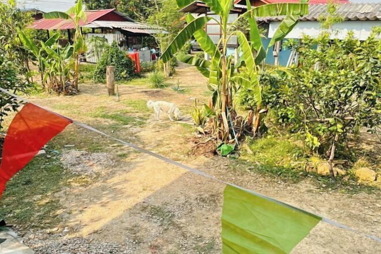 Property grounds 5, Baan Praew Farm stay (Cottage), Soem Ngam