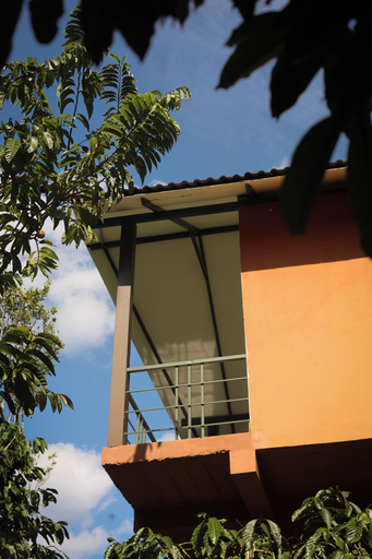 Others 5, The Rain Tree Resort, Wayanad