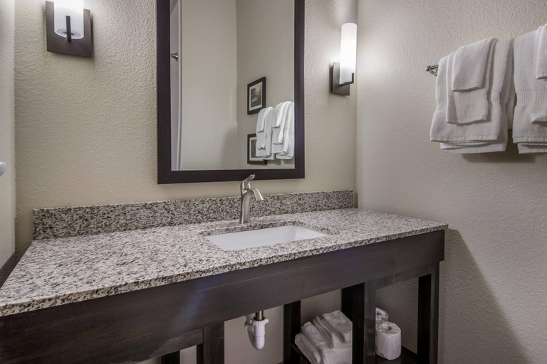 Bathroom 4, Comfort Suites Brunswick Town Center, Medina
