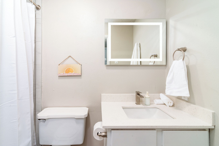 Bathroom 4, The Austin Retreat at Hyde Park, Travis