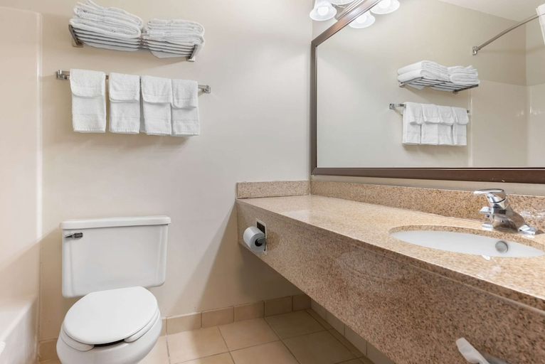 Bathroom 3, Quality Inn Fairborn near Wright Patterson AFB, Greene