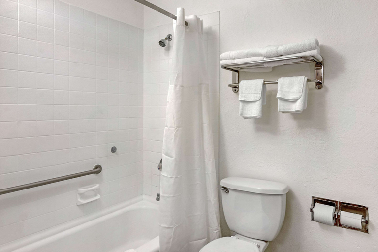 Bathroom 4, Quality Inn & Suites Ruther Glen, Caroline