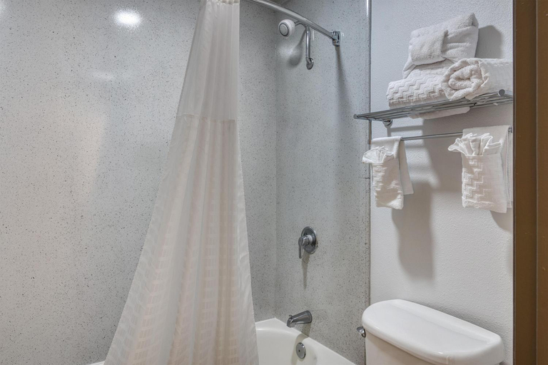 Bathroom 4, Best Western Of Walterboro, Colleton