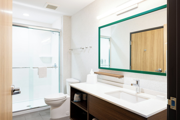 Bathroom 5, Home2 Suites By Hilton Kalamazoo Southeast, Kalamazoo