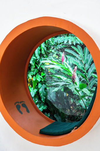 Food & Drinks 5, Nowhere, Bocas del Toro