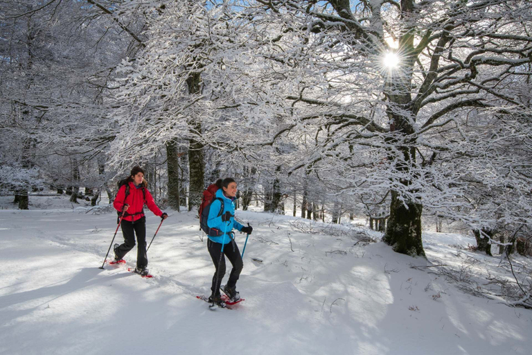 Snowshoeing, 36 Slow Living Rooms, L'Aquila