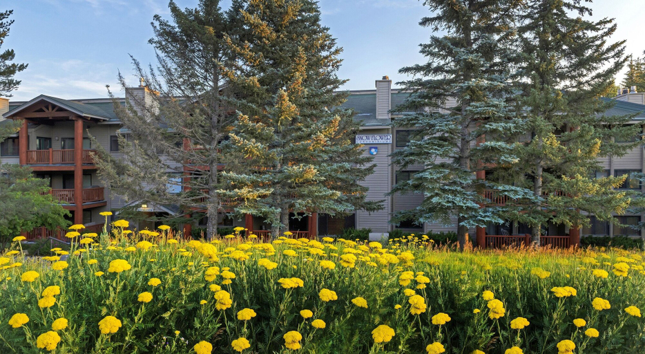 Exterior 3, Snow Flower 123 3 Bedroom Condo, Summit