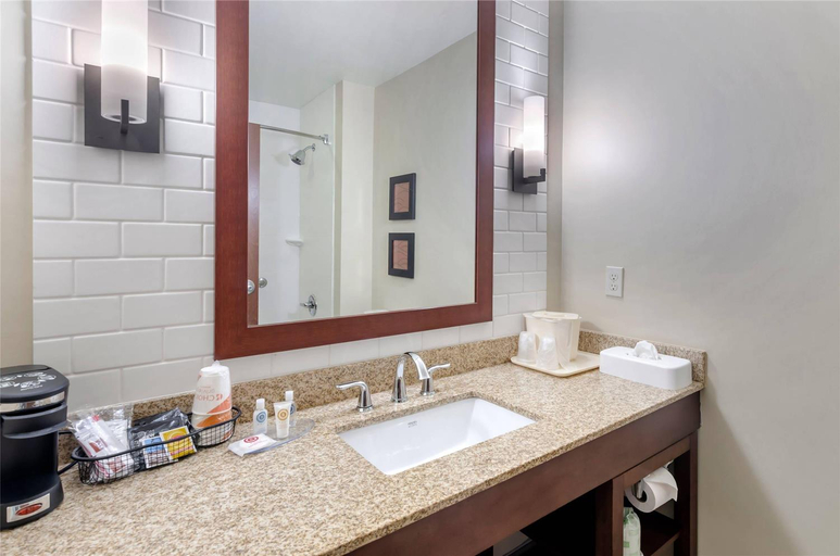 Bathroom 4, Comfort Inn & Suites Lynchburg Area, Campbell
