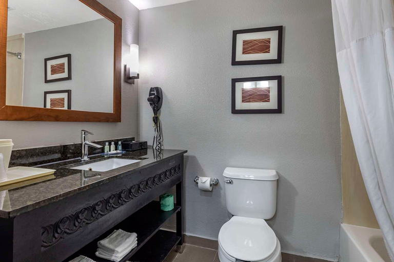 Bathroom 4, Quality Inn & Suites I-35 E/Walnut Hill, Dallas