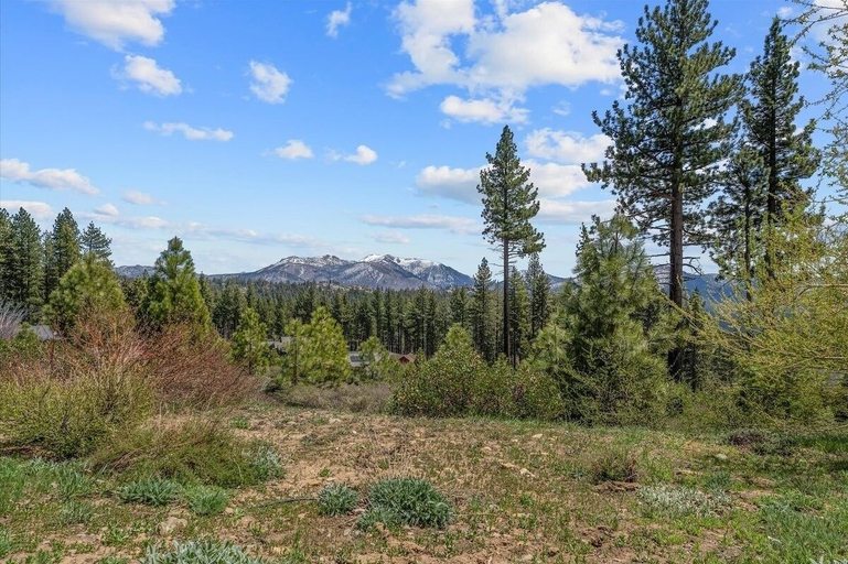 Mountain view 3, Shaquinaw! 5 Bedroom Home by RedAwning, El Dorado