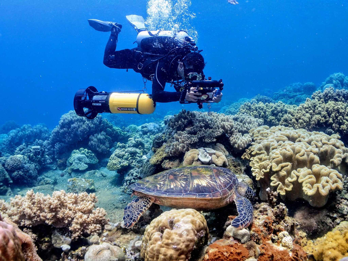 Others 5, Silver Reef Dive Resort, Zamboanguita