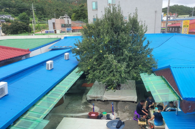 Sport & Beauty, Taean Mammose Pension, Taean