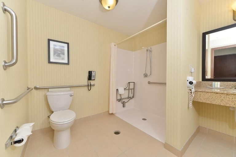 Bathroom 4, Comfort Suites Conference Center Rapid City, Pennington