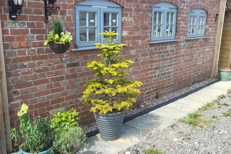 Exterior detail, Cottage Sleeps 5 With Hot Tub and Parking, Devon