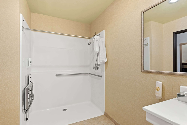 Bathroom 4, Comfort Inn & Suites Creswell, Lane