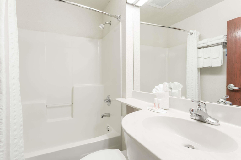 Bathroom, Microtel Inn & Suites by Wyndham Marianna, Jackson