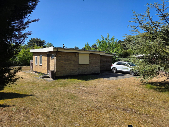 Primary image