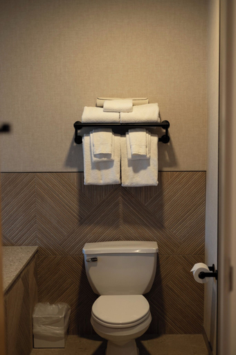 Bathroom 4, Little Creek Casino Resort, Mason