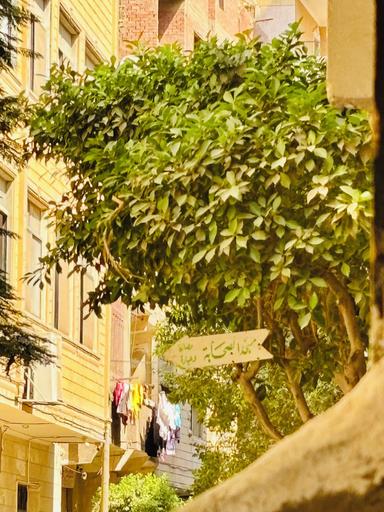 Exterior & Views 2, Pyramids Terrace INN, Al-Ahram