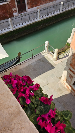 Sport & Beauty 2, Messner Palace, Venezia