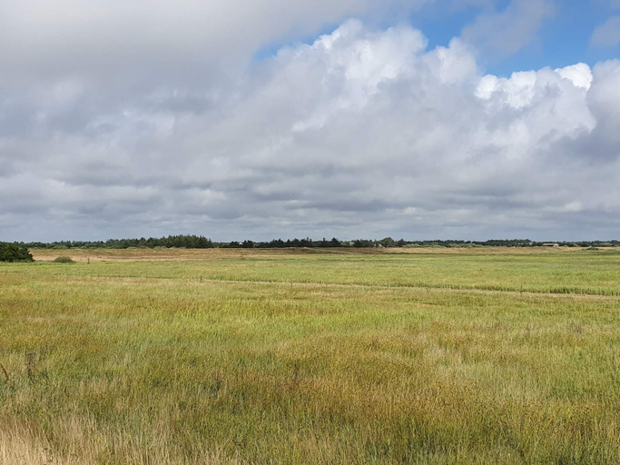 Others 4, Holiday Home in Blåvand, Varde