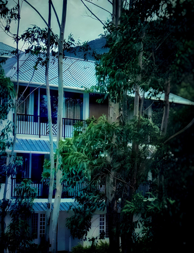 Exterior 4, Skybz Honeyrock farm resort, Idukki
