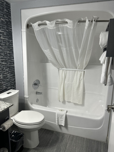 Bathroom 5, Quality Inn, Essex
