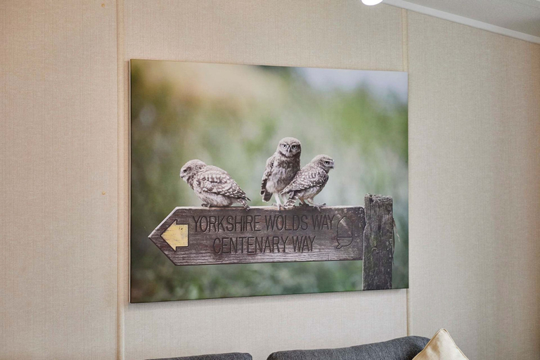 Room 4, Host Stay Primrose Lodge, York