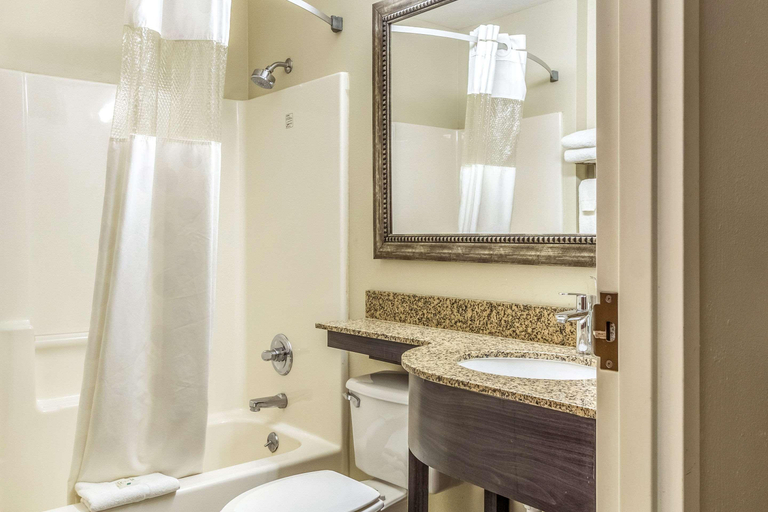 Bathroom 4, Quality Inn & Suites North Lima - Boardman, Mahoning
