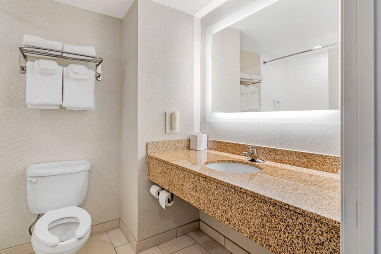 Bathroom 3, Comfort Inn Dayton South, Rhea