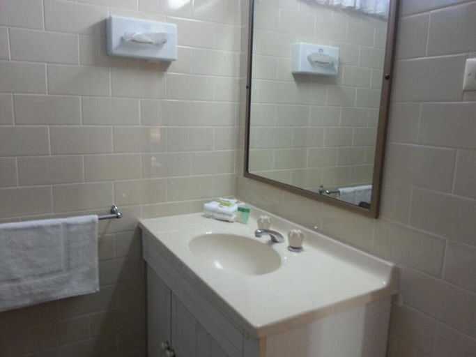 Bathroom 3, Big Valley Lakeside Paradise Motor Inn, Shepparton