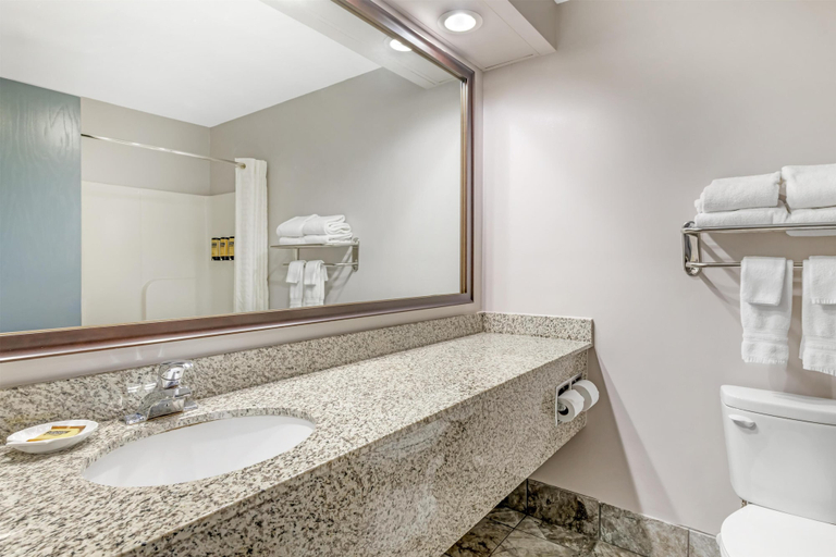Bathroom 4, Best Western Plus Eau Claire Conference Center, Eau Claire