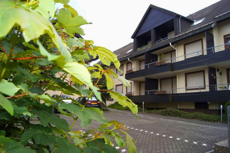 Primary image