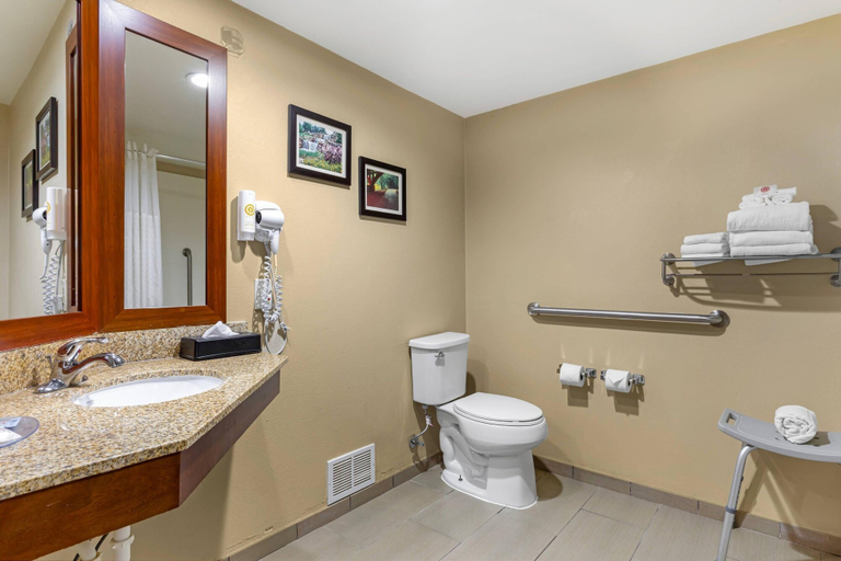 Bathroom 4, Comfort Inn Wichita Falls North, Wichita