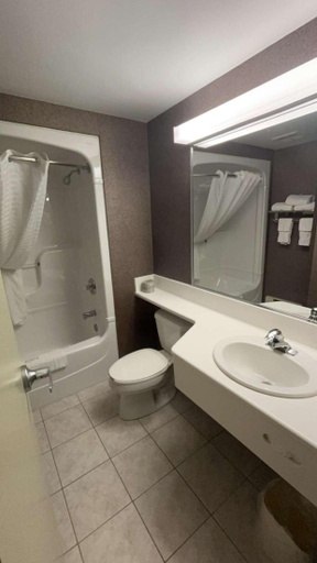 Bathroom 4, Comfort Inn Lundys Lane, Niagara