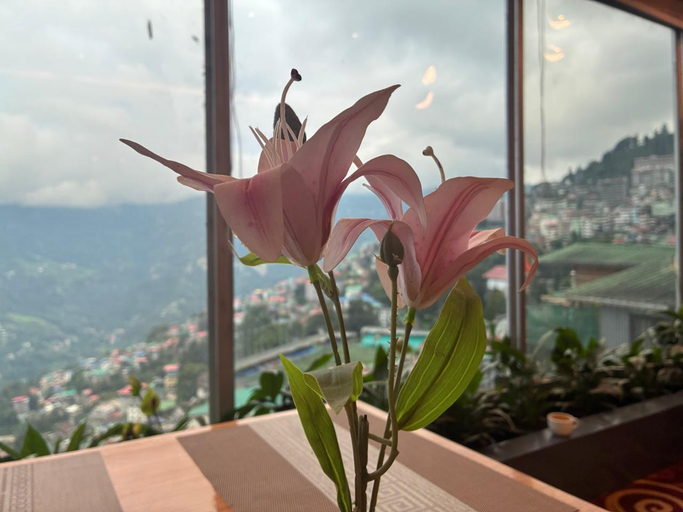 Others 5, Hotel Mayur, East Sikkim