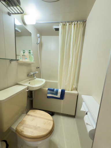 Bathroom 2, B&B Santana Hakuba, Hakuba