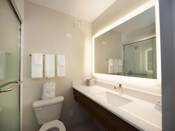 Bathroom 4, Holiday Inn Express ATHENS-UNIVERSITY AREA by IHG, Clarke