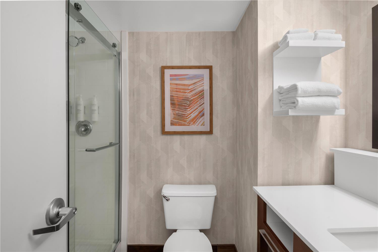 Bathroom 5, Hampton Inn Memphis/Southaven, Desoto
