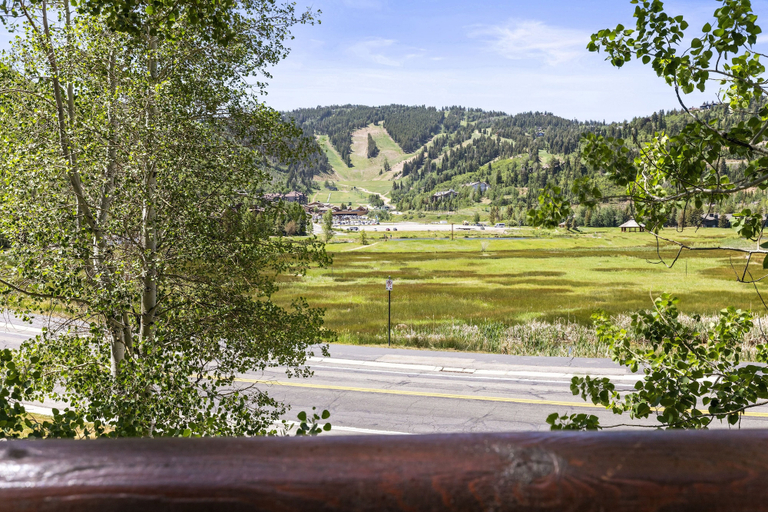 View from property, Chaparral 204 3 Bedroom Condo, Summit
