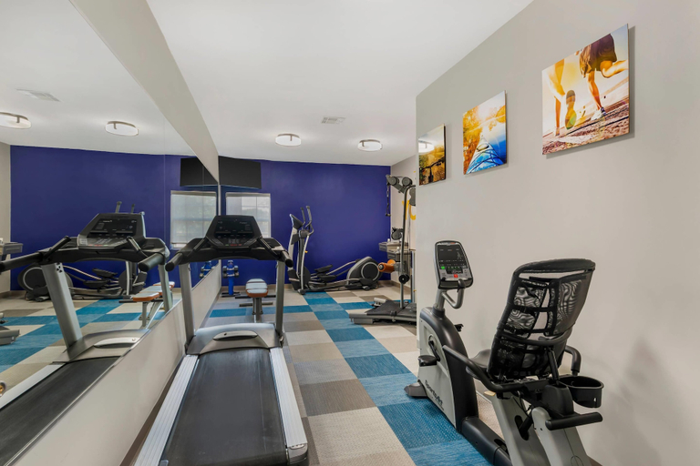 Others 5, Comfort Inn & Suites Red Oak - Dallas Area, Ellis