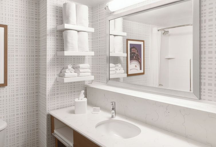 Bathroom 5, Hampton Inn Ft. Lauderdale/Downtown Las Olas Area, Broward